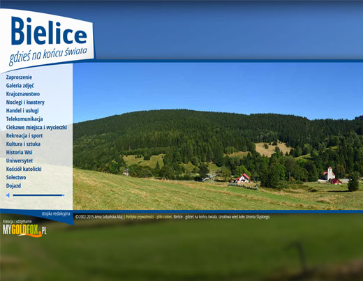 Wykonanie strony internetowej Bielice.info.pl